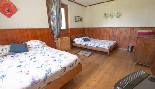 Double Room with Shared Bathroom