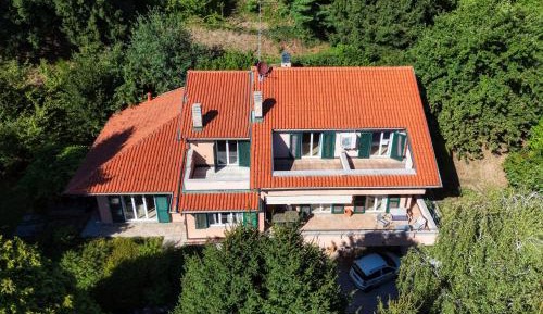 Deluxe Villa
