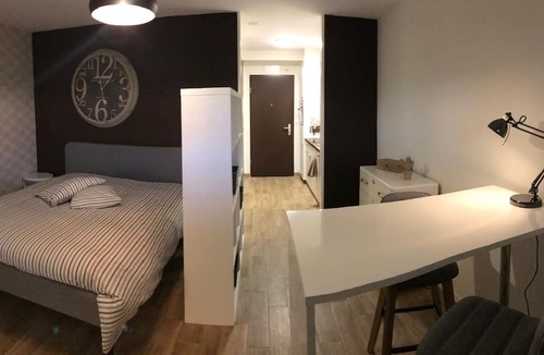 Ecublens Apartment | Large Studio Near Epfl And Lausanne City Center