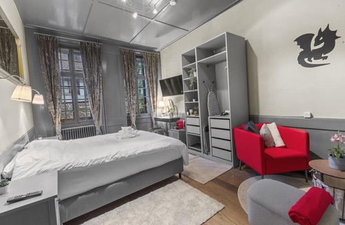 Fribourg Apartment | Cosy room - Fribourg old town