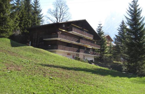 Grindelwald Apartment | Superior Apartment 100m2 Bodmisonne - Grindelwald