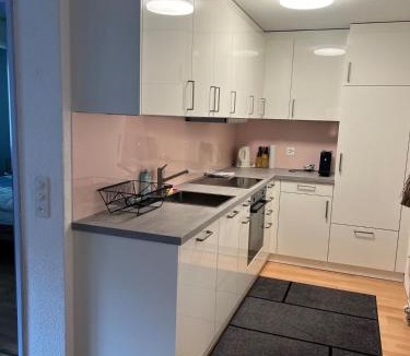 Bad Zurzach Apartment | Newly renovated modern 2-room apartment with balcony
