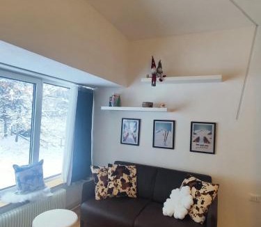 Marilleva Apartment | La casina nel bosco Monolocale al residence lores 1