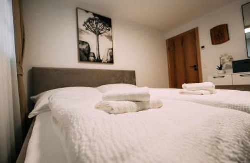 Brienz Apartment | Alpina Four - Charming Apartment Prime Location
