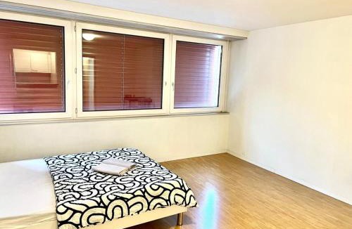 Lucerne Apartment | Downtown Flats - Lake Lucerne