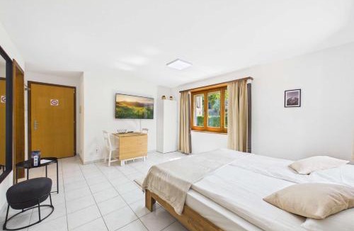 Gamsen Apartment | Cozy Studio in Brig