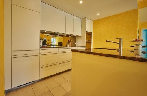 Unterseen Apartment | Apartment Du Pont with Jungfrau and River View