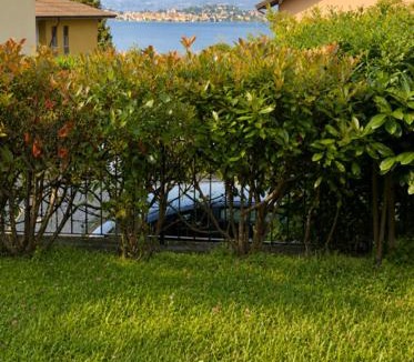 Baveno Apartment | BELLAVISTA LAKE VIEW apartment with PRIVATE GARDEN