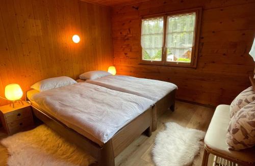 Chalais Ski Chalet | Chalet Bonzor à Briey, à 7 minutes de Vercorin