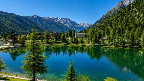 Champex-Lac Apartment | Petit Canada - Studio à louer