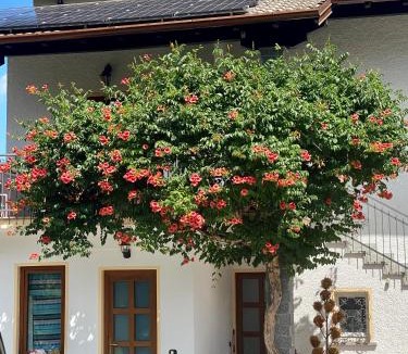 Cellina Apartment | Casa Arnold Apartment with Garden near Lake Maggiore