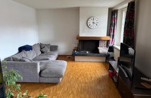 Vevey House | Spacious, furnished duplex apartment room in central Vevey