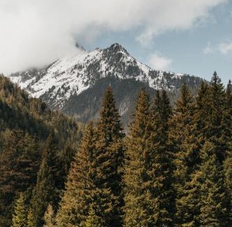 Champex-Lac Hotel | Hôtel du Glacier