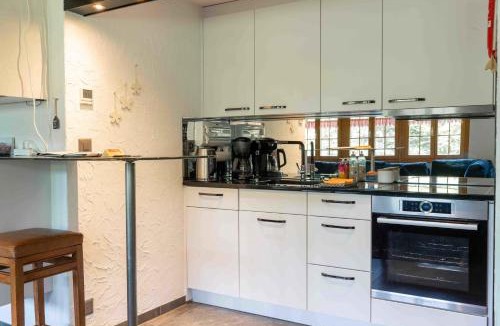 Schwenden House | Hot Tub and Sauna Stay with Garden Views and near Gondola