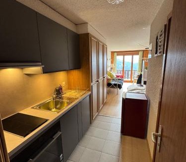 Leysin Apartment | "Le Ptit Nid" studio avec vue à couper le souffle à Leysin !