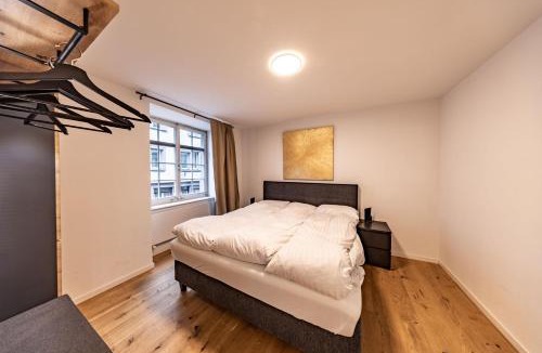 Andelfingen District Apartment | The R Apartment Cholfirst