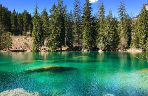 Flims Apartment | Flims Laax, Parking, Ski, Ski room, Self Check-in Wi-Fi Caumasee