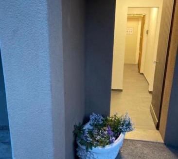 Brig Apartment | Studio My Home