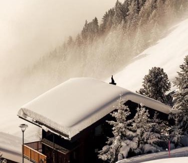 Riederalp Ski Chalet | Chalet Nachtigall