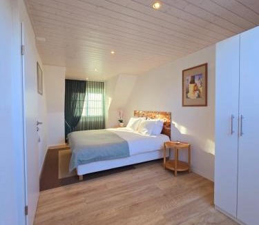 Ecublens Apartment | 2BR Appart confortable - Fast WiFi - Swiss Tech - EPFL - la RTS - l'UNIL - parking