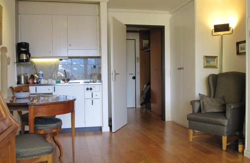 Beatenberg Apartment | Blüemlisalp 712 Studio