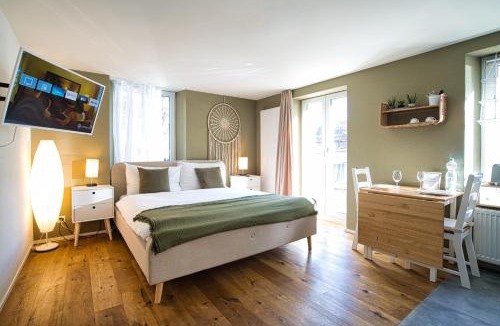 St. Gallen Apartment | Klara 0002 - Olma, Spital, Uni St- Gallen