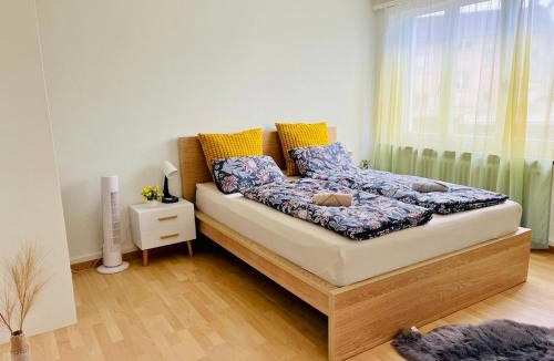 Olten Apartment | Vantage Point 101