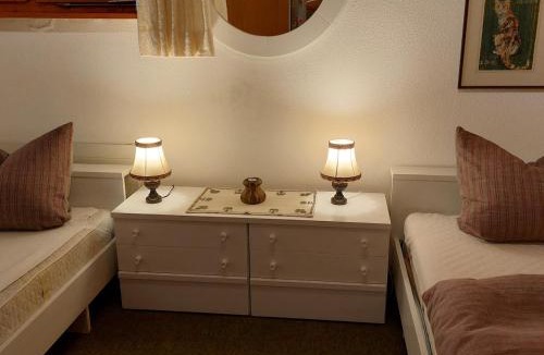 Ernen Apartment | Ferienwohnung Aragon M88