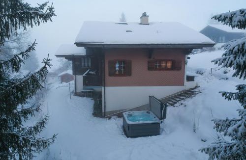 Axalp Apartment | Cozy Alpine Lodge - Hot Tub & Balcony Views