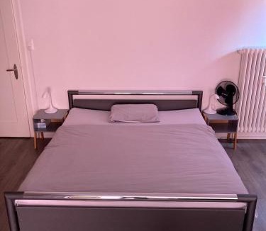 Kirchenfeld-Schosshalde Apartment | Zentrale Unterkunft