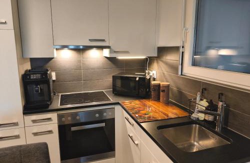 Bulle Apartment | Quiet Apartment in Bulle with Terrace, Free Parking & Mountain Views