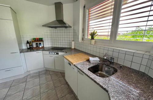 Luscherz Apartment | Casa Tricolina - Lake Life am Bielersee