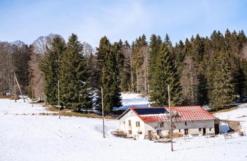 Provence Bed & Breakfast | La Montagne devant