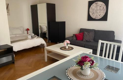 Lausanne Apartment | Appartement clame 6 minutes de la gare de Lausanne
