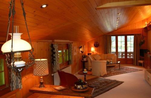 Saanen Apartment | Apartment Hornflue - Wohlwender by Interhome