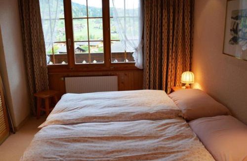 Saanen Apartment | Apartment Hornflue - Wohlwender by Interhome