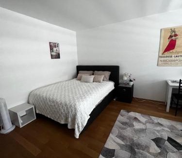 Breitenrain-Lorraine Apartment | Apartments in Bern - Green Relax
