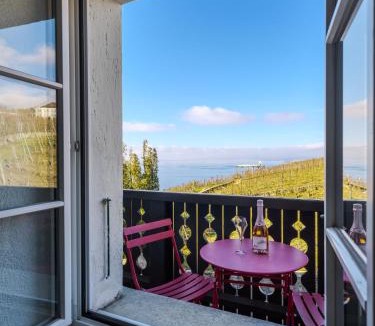 Grandvaux Apartment | Domaine de la Crausaz
