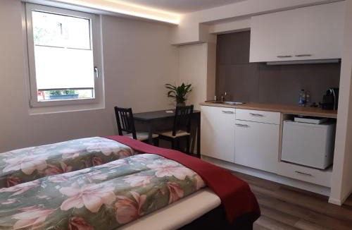 Mollis Apartment | Studio "Chüngelhoschet"
