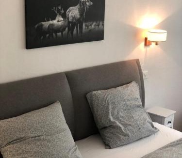 Leukerbad Apartment | Fortuna