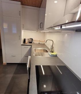 Obergesteln Apartment | Chalet Meise