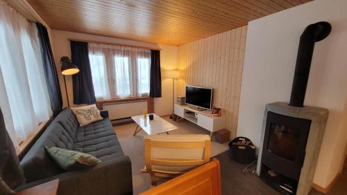 Obergesteln Apartment | Chalet Meise