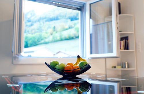Neirivue Apartment | Gruyère Alpes Appartement 3 chambres BBQ Parking