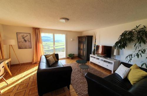 Meierskappel Apartment | Apartment in Swiss Chalet Träumli