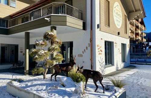Les Paccots Hotel | Boutique hôtel Corbetta & SPA - A 5 minutes de l'autoroute A12 aux Paccots sur Montreux, profitez de la montagne et du lac Léman- LOFT FAMILIAL DISPONIBLE