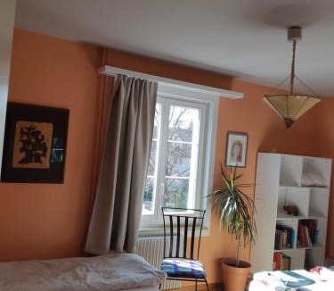 Oerlikon Apartment | Central quiet and cosy apartment near Hallenstadion