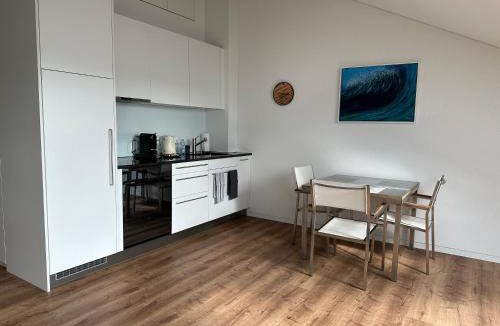 Seengen Apartment | Neue Einzimmer Dachwohnung