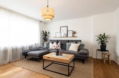 Busingen am Hochrhein Apartment | Design Maisonette Wohnung am Rhein Loggia Garage 1000Mbits