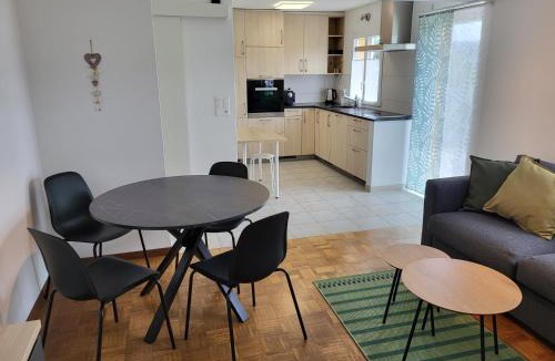 Tramelan Apartment | Les petits Rosiers