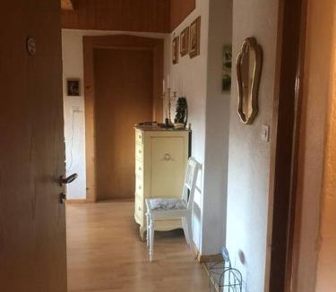 Brugg Apartment | 2-room-apartment with shared garden place and view on nature reserve